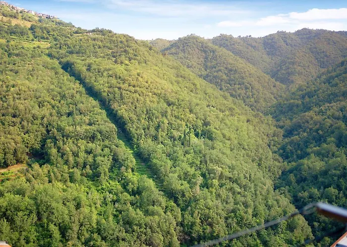 U Graie Априкале